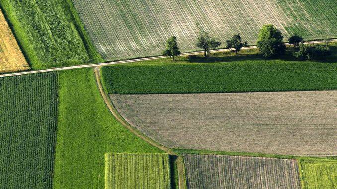 Schimbari APIA pentru ANT teren agricol subventii