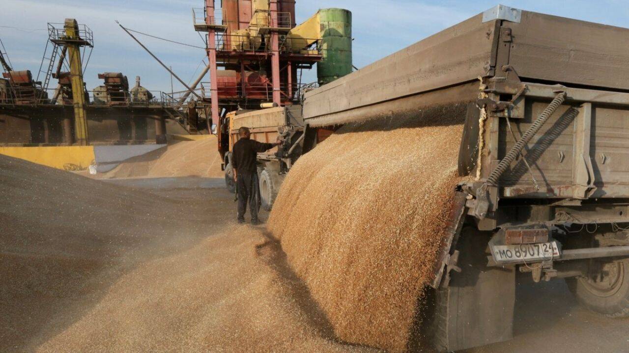 un remorca din care se descarca cereale